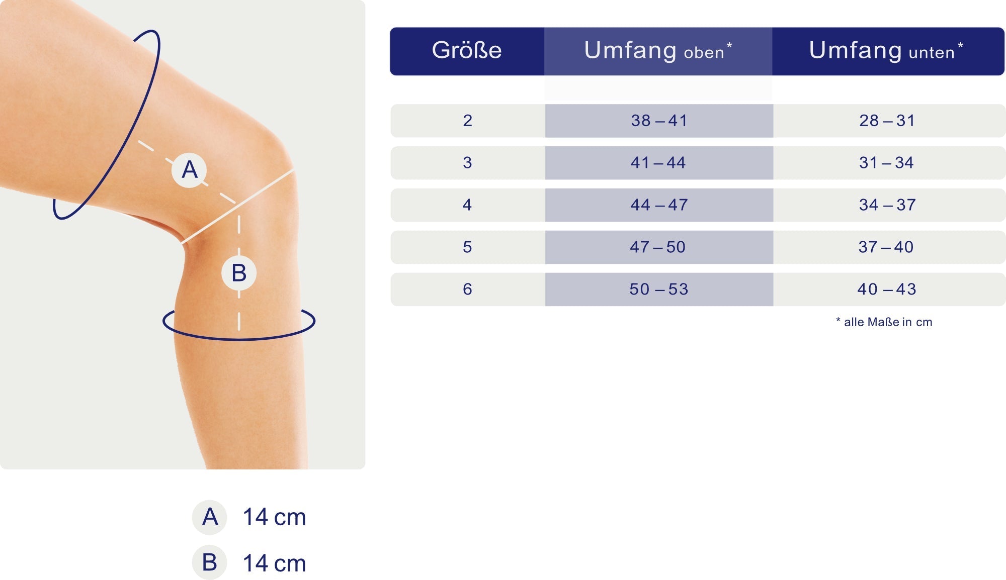 Maßblatt – Größentabelle