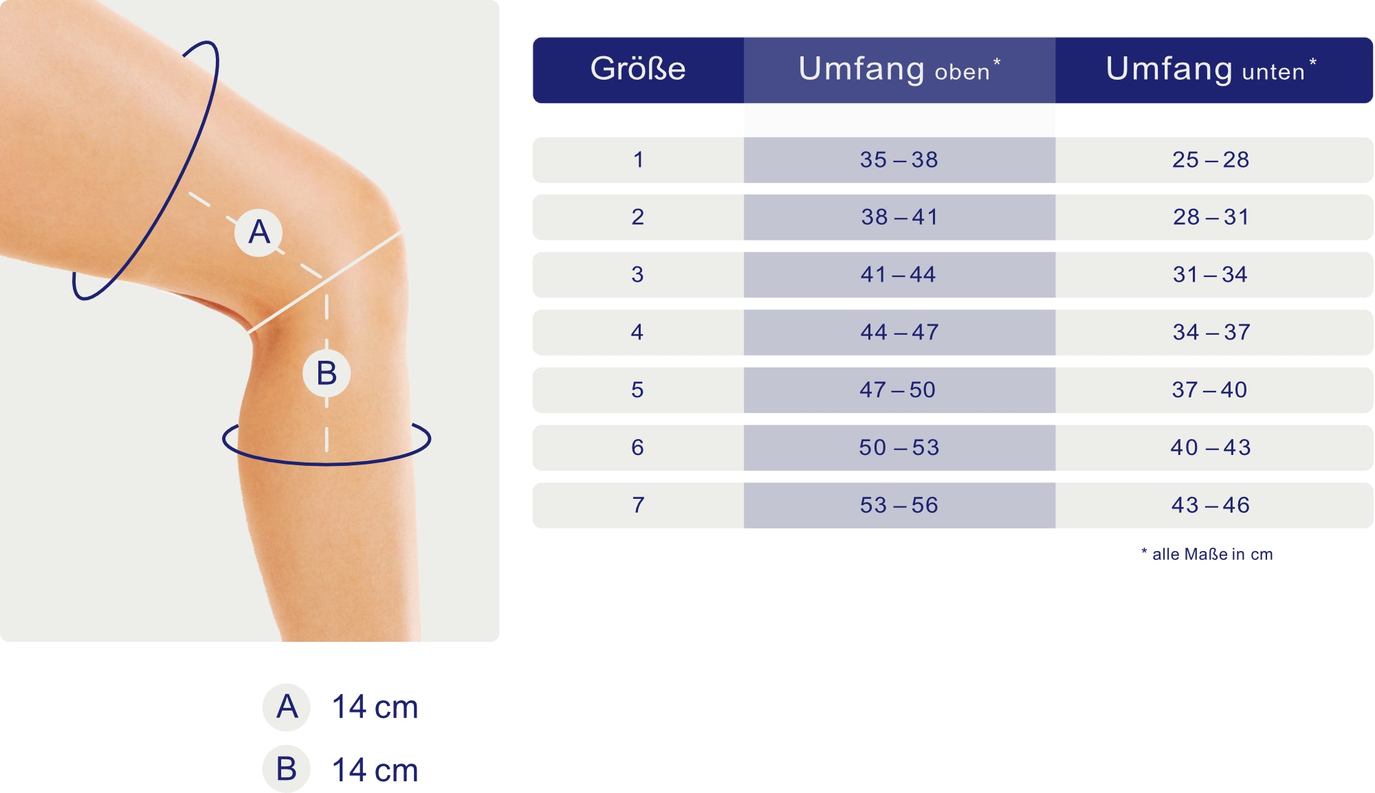 Maßblatt – Größentabelle